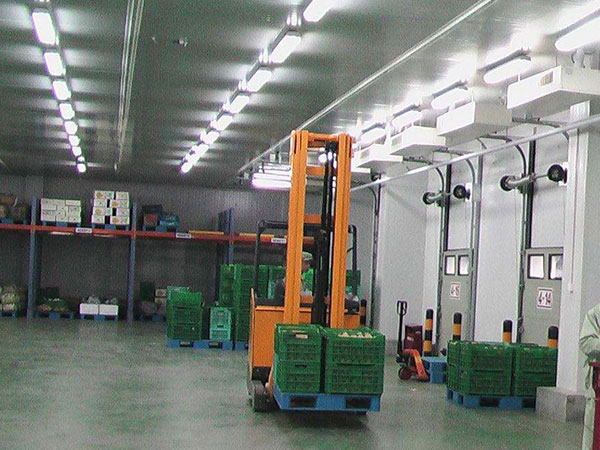 智能冷库建造 - 新盛冷源制冷设备有限公司图片3